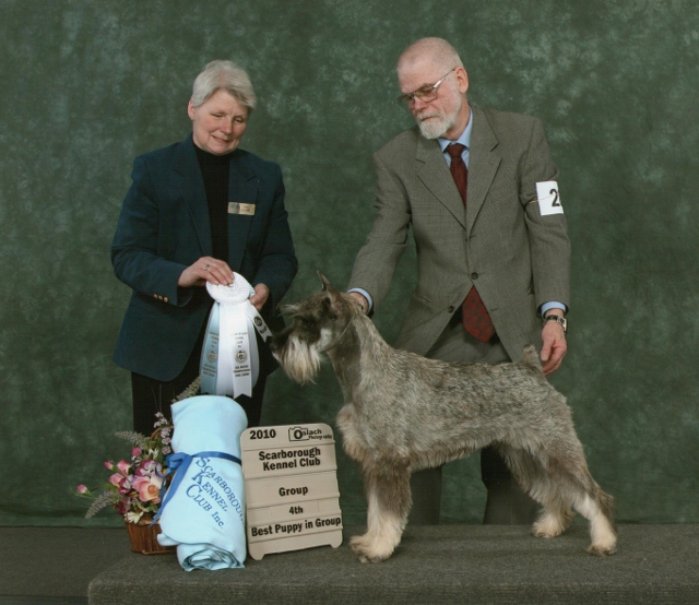 This is a picture of Sophie winning a grp 4th and Best Puppy in Group at Scarborough.