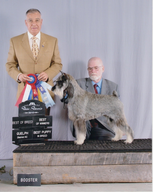 This is a picture of Sophie winning Best of Breed.